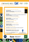 Affiche séminaire axe 3 2025-2026